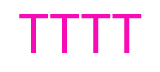 Twin Transportation Truck Training Corp. logo